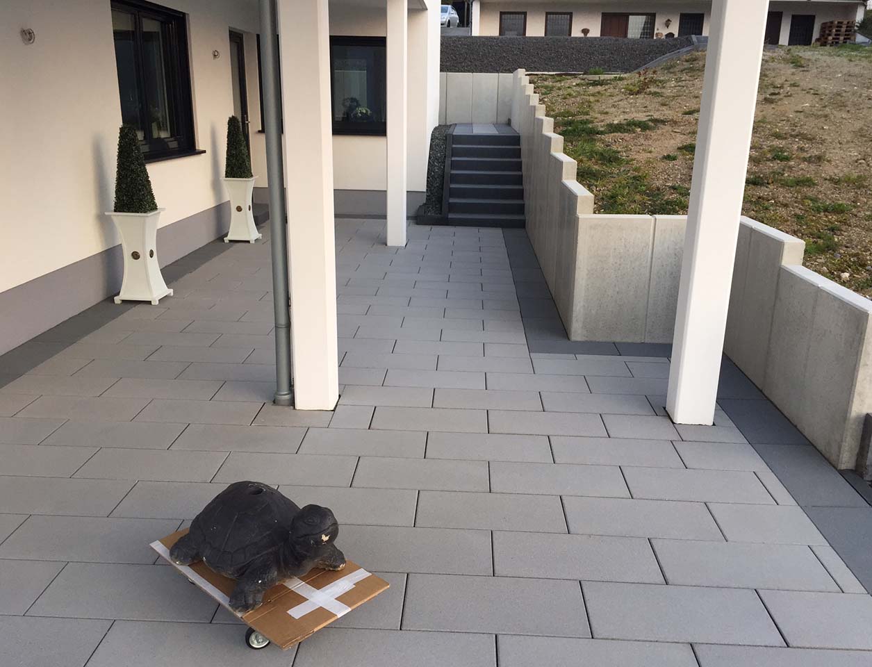 Bild 5